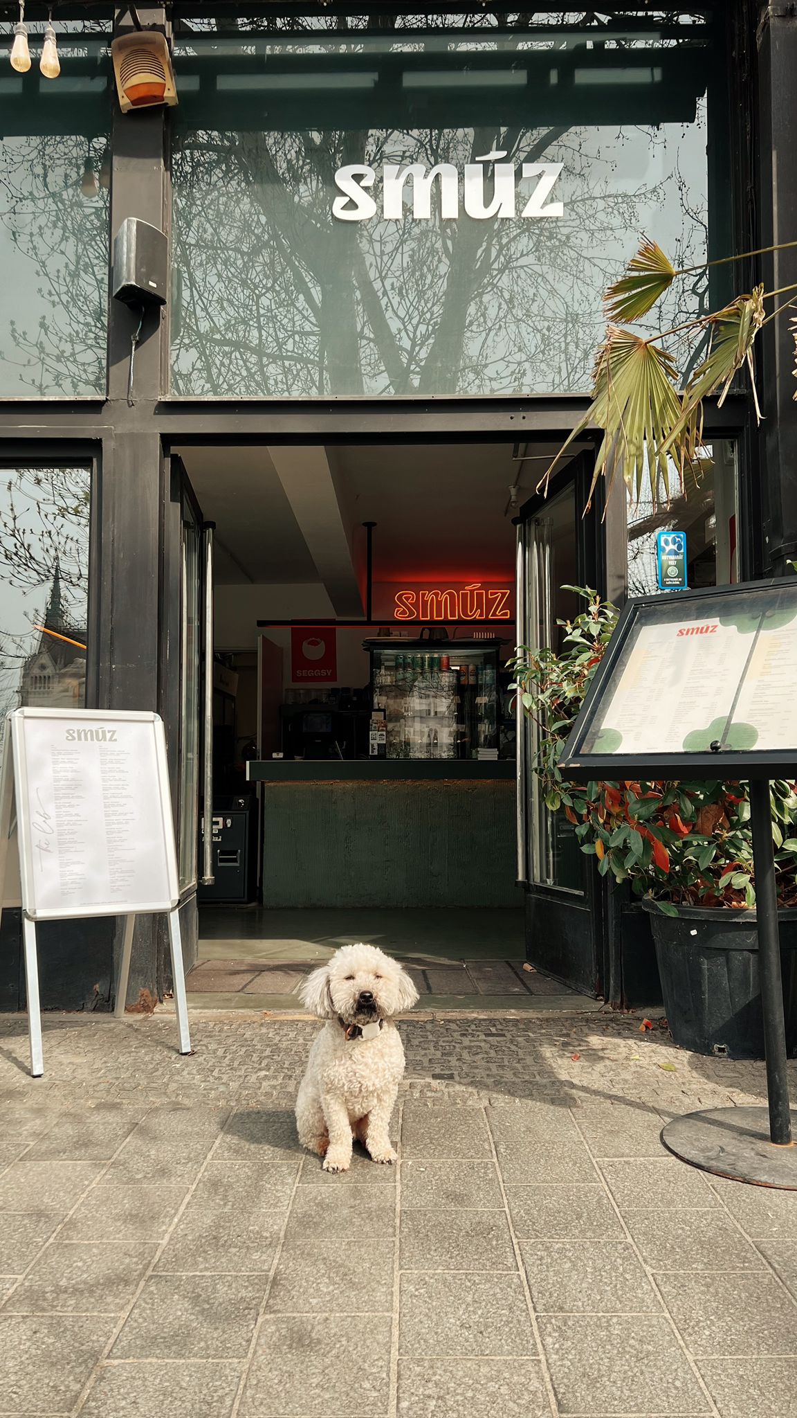 Qerko digital ordering – smartphone payment at Smúz Café & Bar